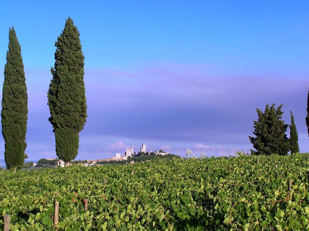 Poggetto Di Montese Διαμέρισμα Σαν Τζιμινιάνο Δωμάτιο φωτογραφία